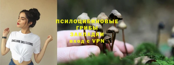 эйфоретик Аркадак